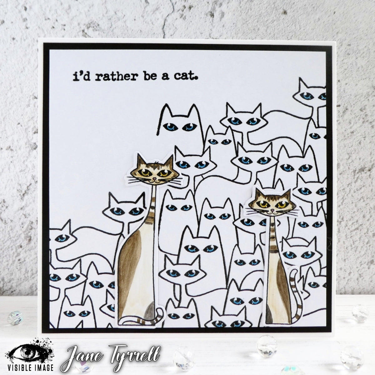 Visible Image Cat-tastic Background - A6 Stamp Set