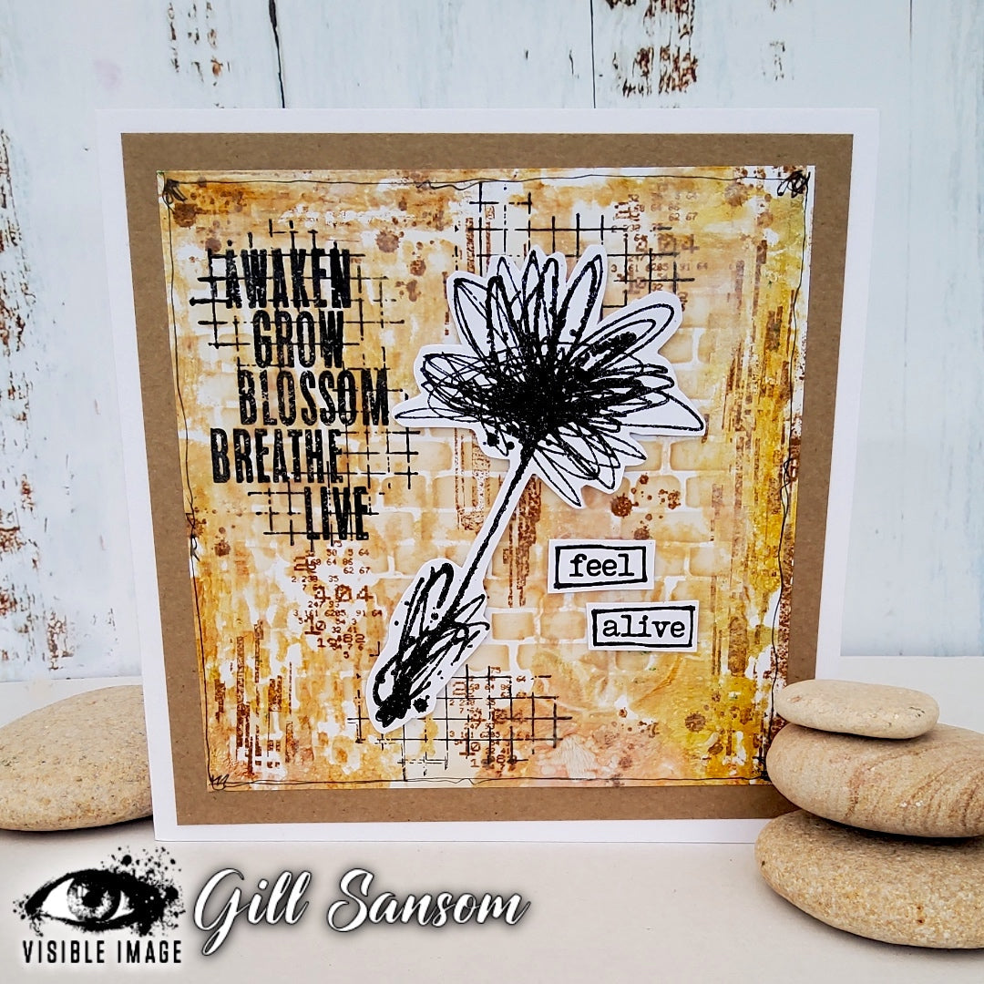 Visible Image Transmission Glitch - A6 Stamp Set