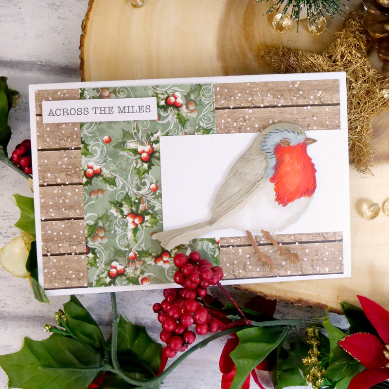 Winter Robins Luxury Inserts & Papers