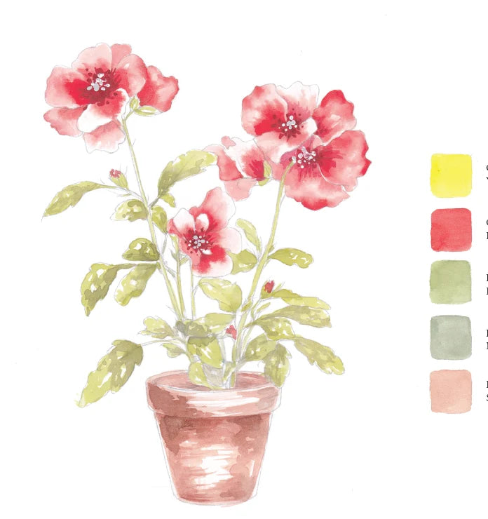Willow Wolfe - Watercolor Workbook: Blooms and Bouquets by Willow Wolfe