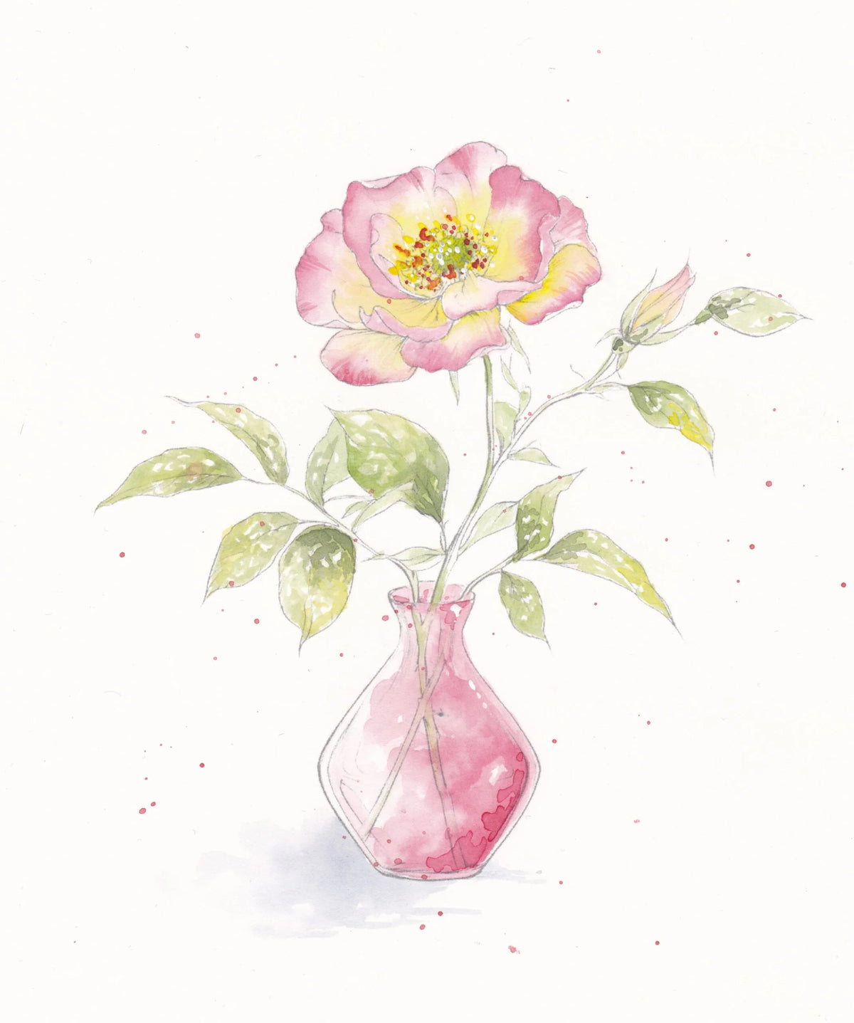 Willow Wolfe - Watercolor Workbook: Blooms and Bouquets by Willow Wolfe