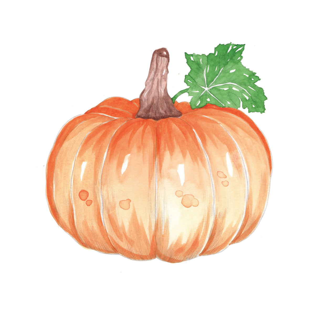 Willow Wolfe - Watercolor Workbook: Fall into Color by Willow & Nya Wolfe