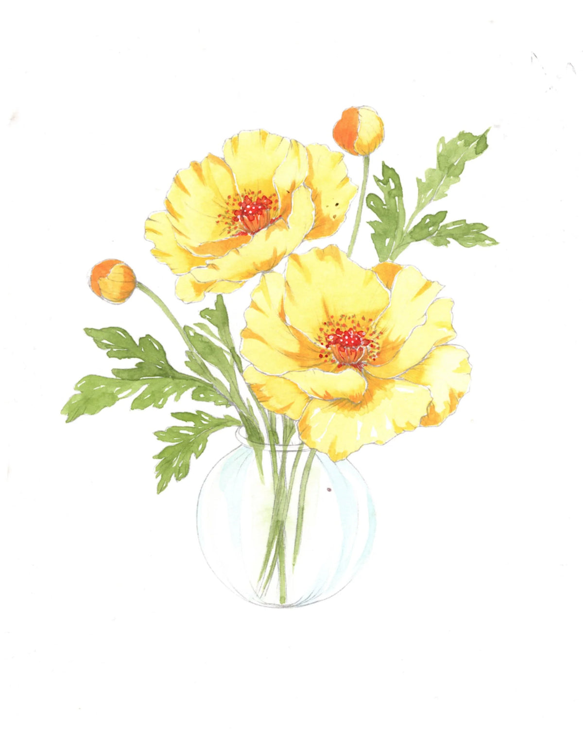 Willow Wolfe - Watercolor Workbook: Bold Florals by Willow & Nya Wolfe