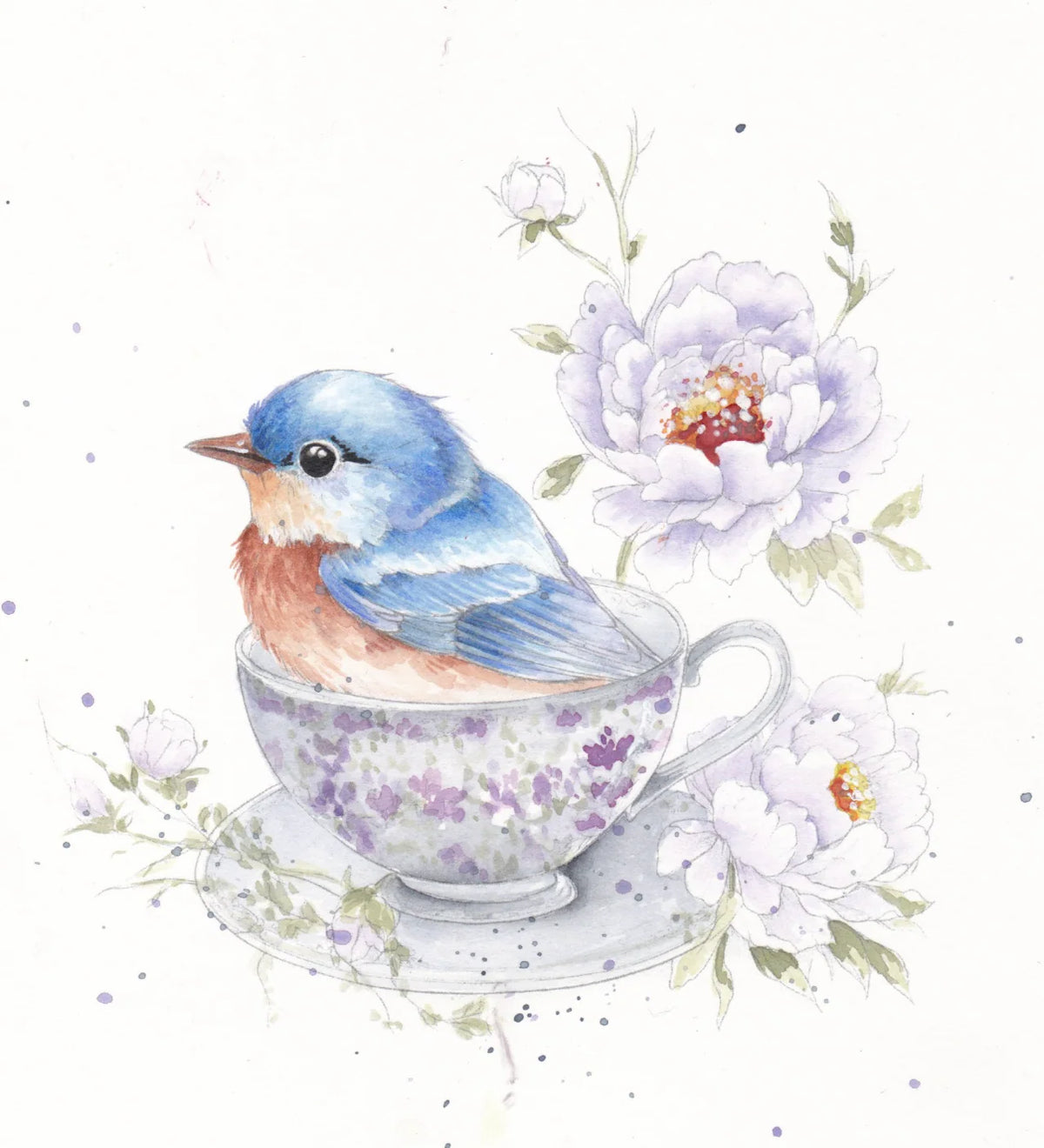 Willow Wolfe - Watercolor Workbook: Feathers and Finery by Willow Wolfe