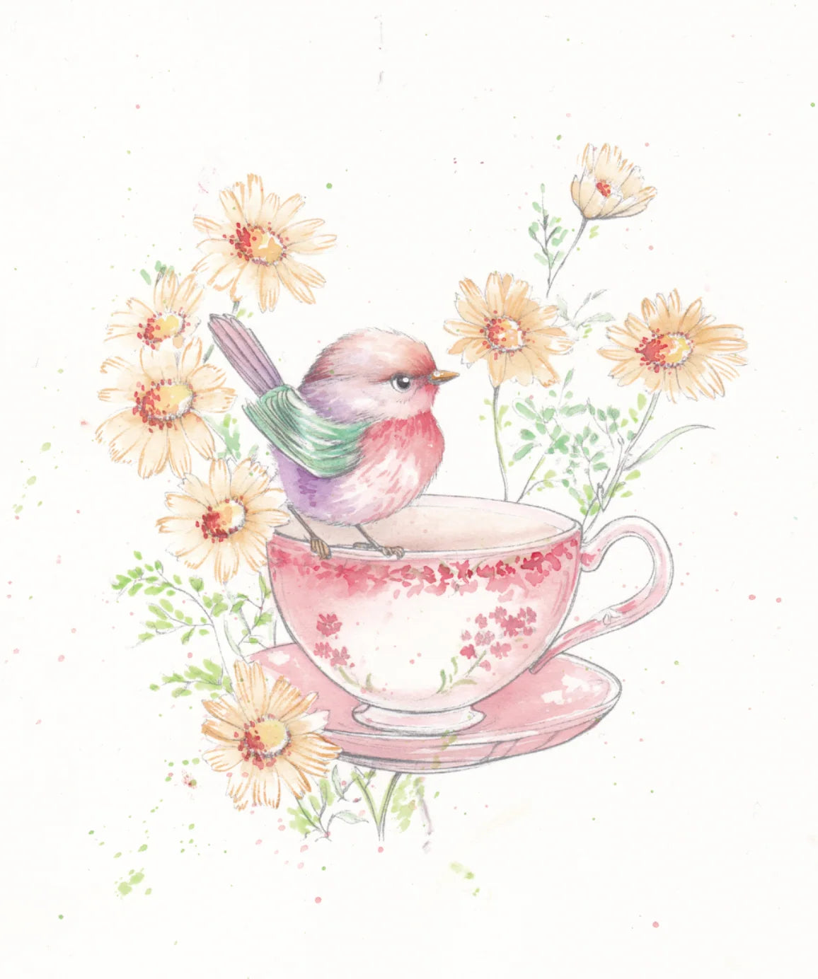 Willow Wolfe - Watercolor Workbook: Feathers and Finery by Willow Wolfe
