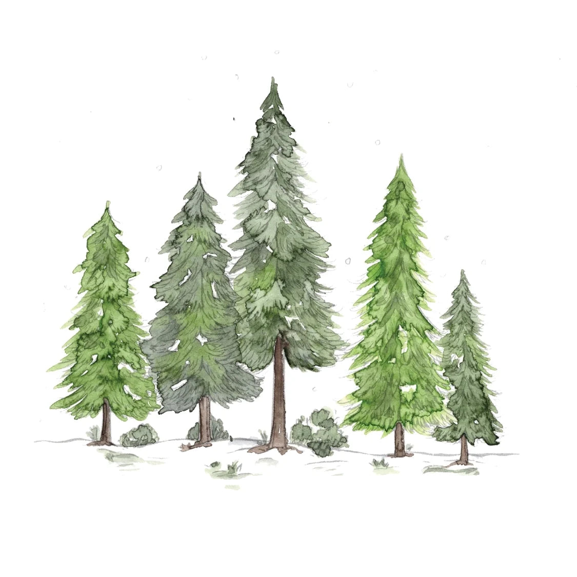 Willow Wolfe - Watercolor Workbook: Winter Glow by Willow & Nya Wolfe