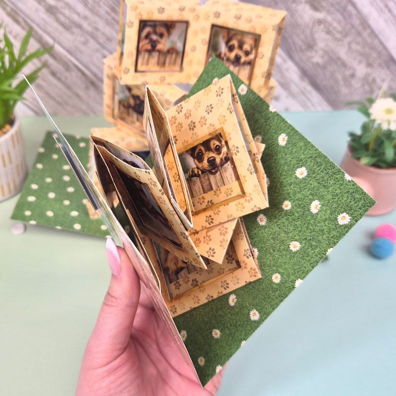 Pop-Up Frame Cards Concept Card Kit