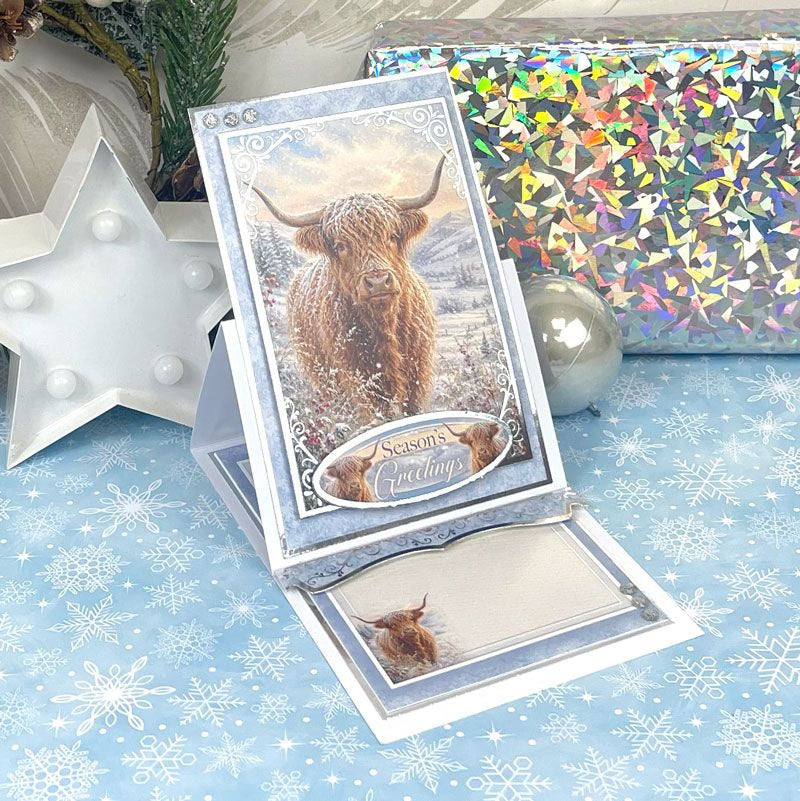 Christmas Centre-Stepper Cards - Stunning Silver