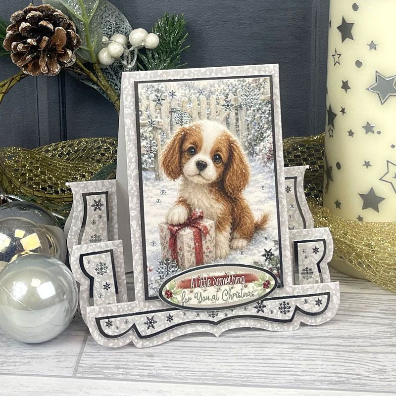 Christmas Centre-Stepper Cards - Stunning Silver