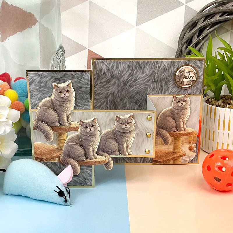 British Shorthair & Blue Persian Decoupage Topper Sheet