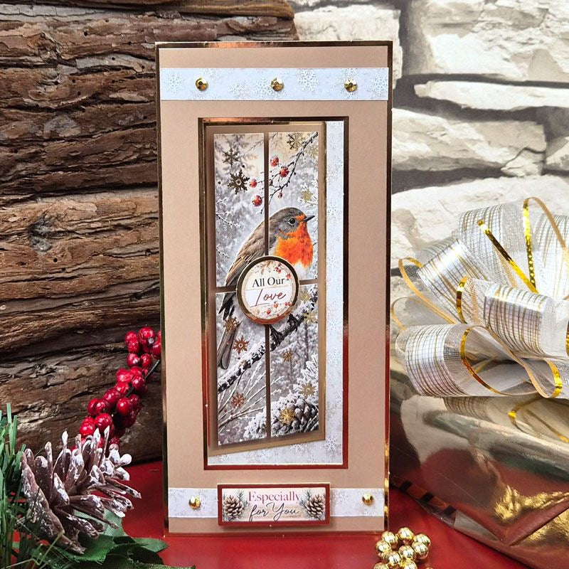 DL Foiled Aperture Card Blanks - Festive Edition