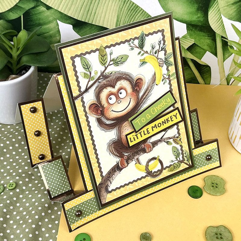 The Little Book of Quirky Animals