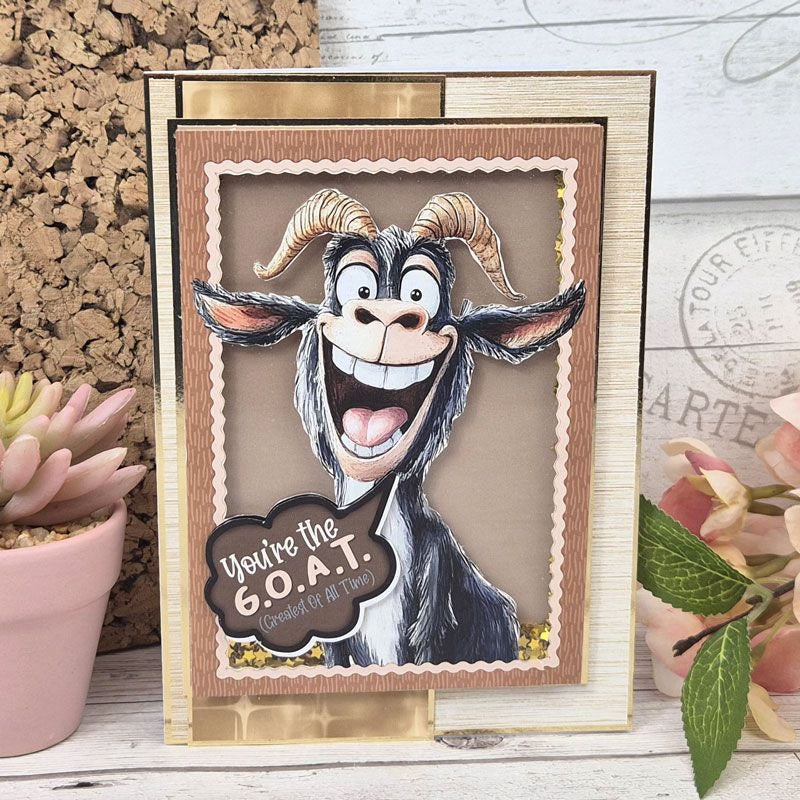 The Little Book of Quirky Animals
