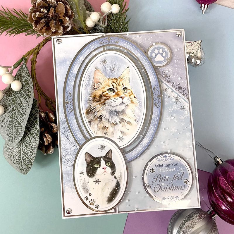 A Purr-fect Christmas Luxury Topper Set