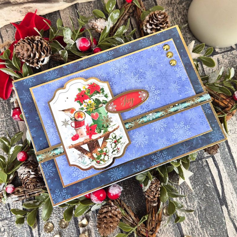 Christmas Robins Inserts & Papers