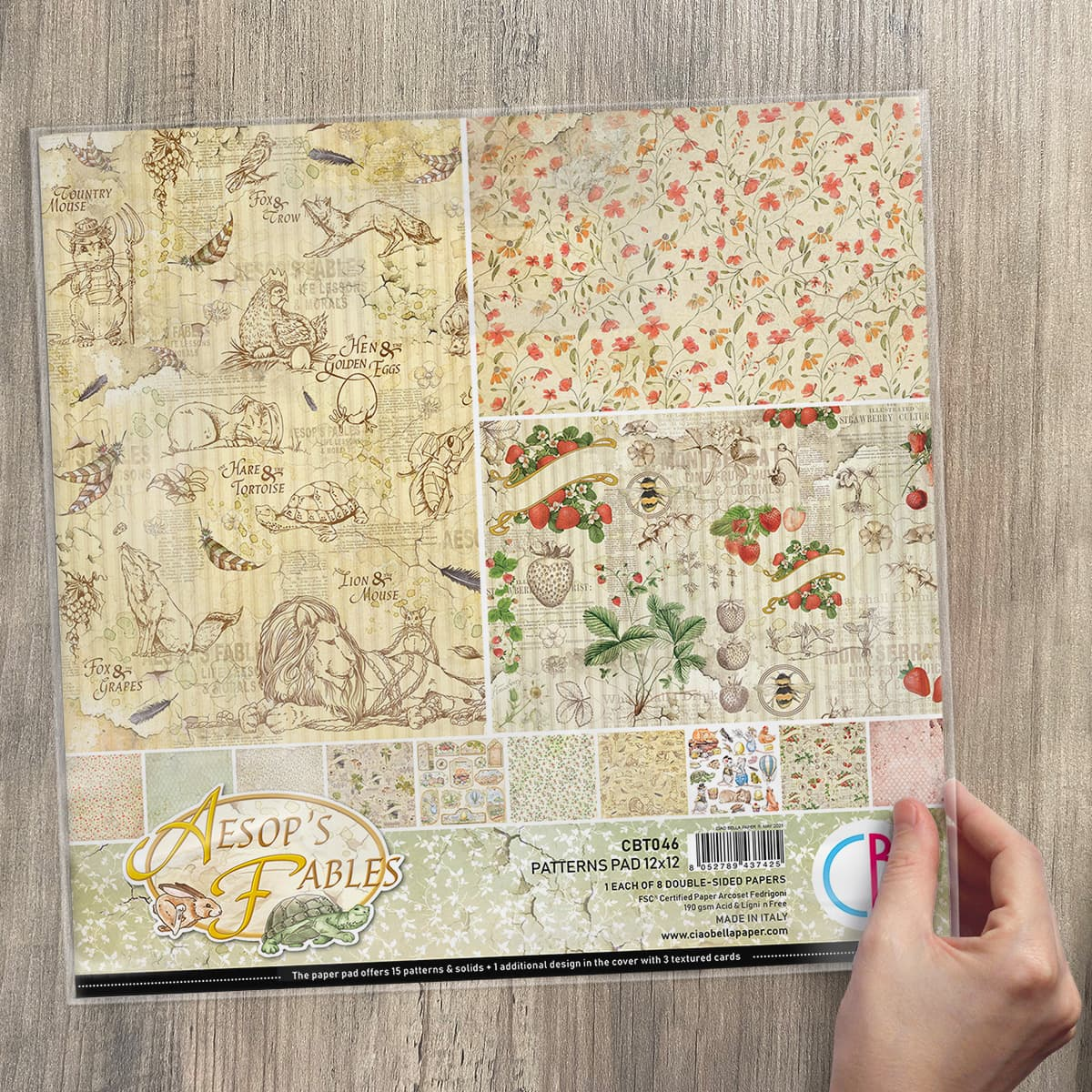 Ciao Bella Aesop's Fables Patterns Pad 12"X12" 8/Pkg