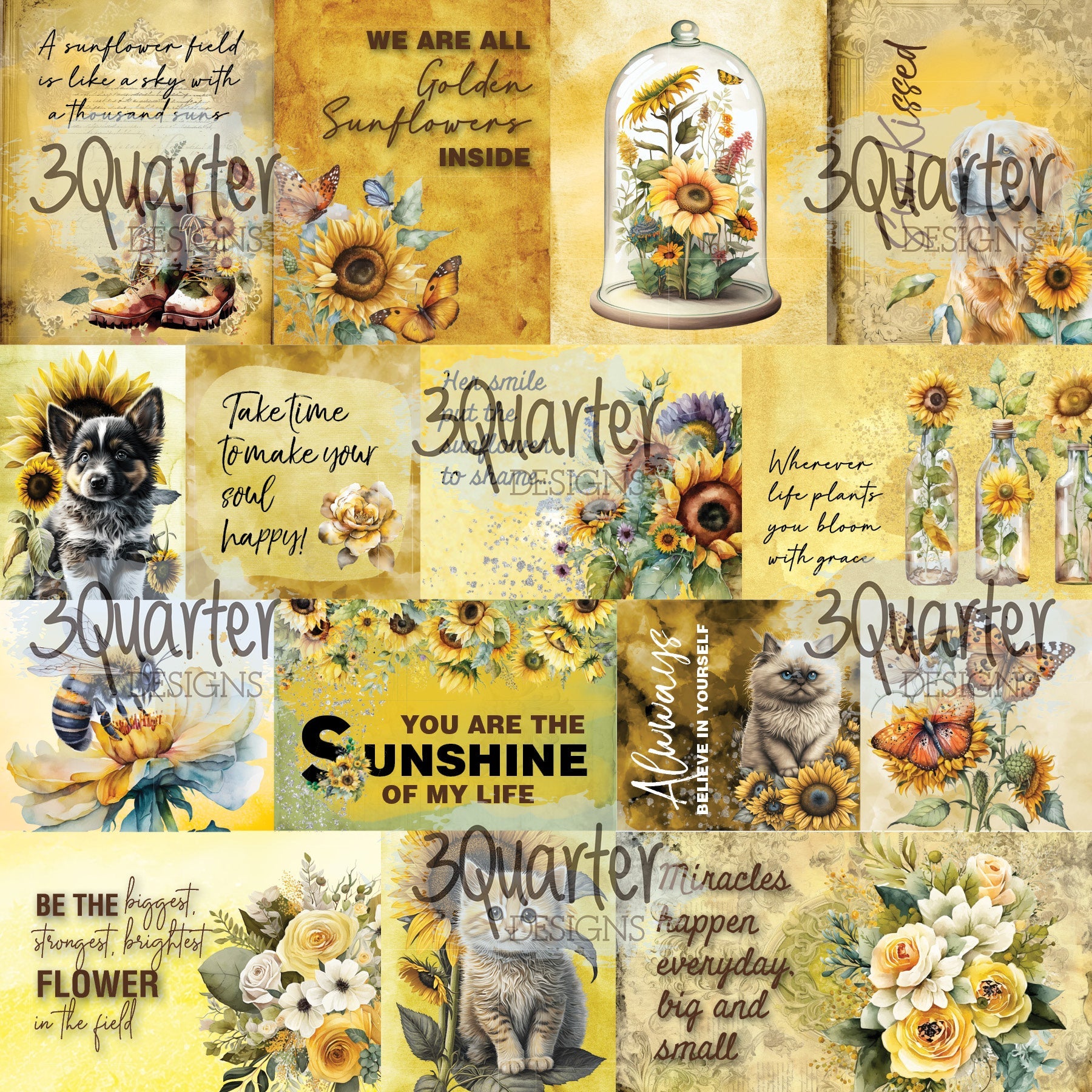 Sunflower Elixir 6x6 pack