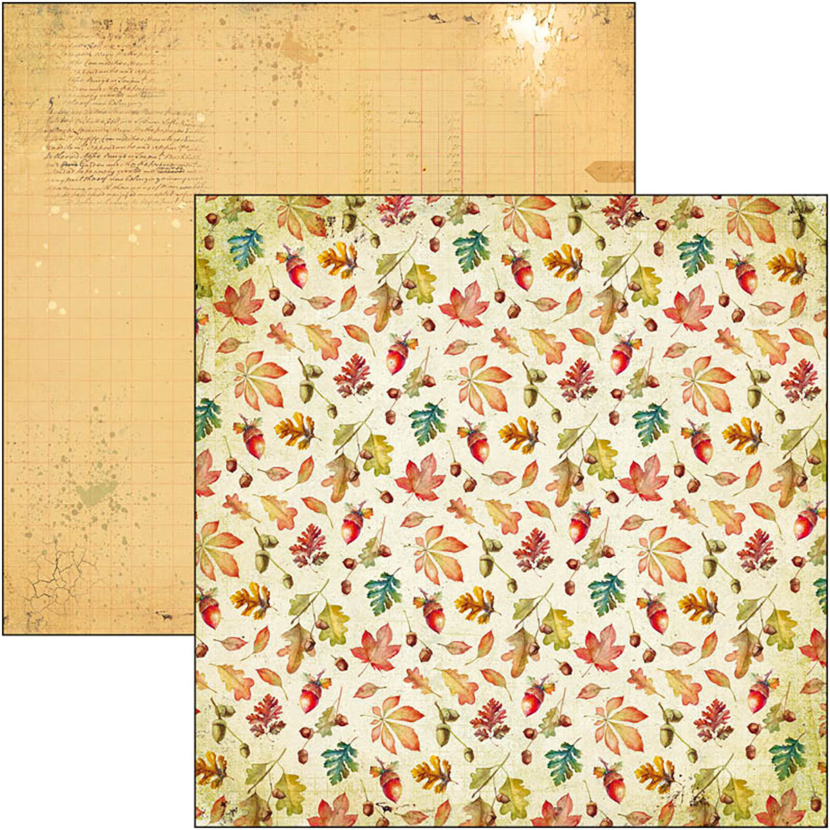 Ciao Bella Into The Wild Paper Pad 12"x12" 12/Pkg