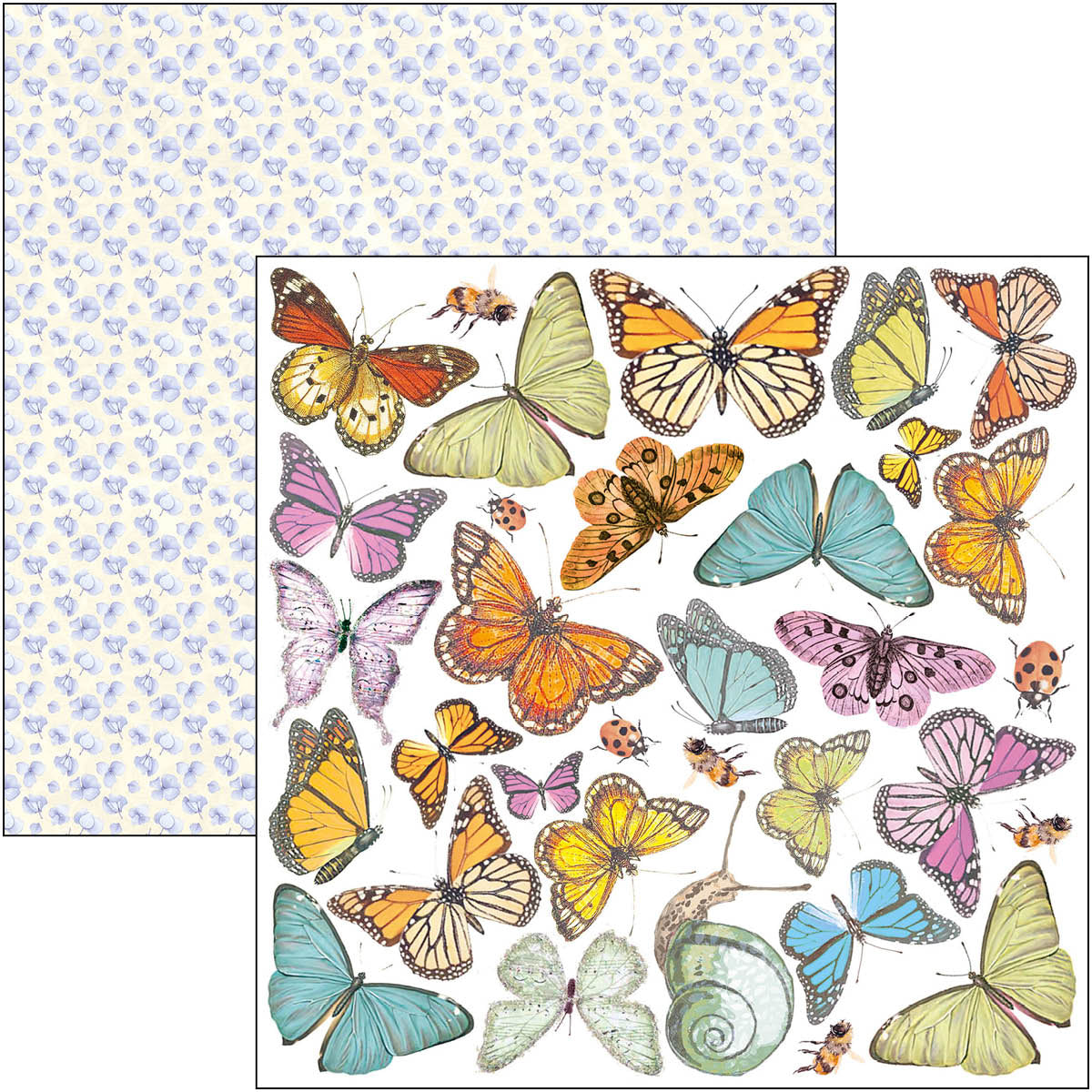 Ciao Bella Enchanted Land Fussy Cut Pad 6"x6" 24/Pkg