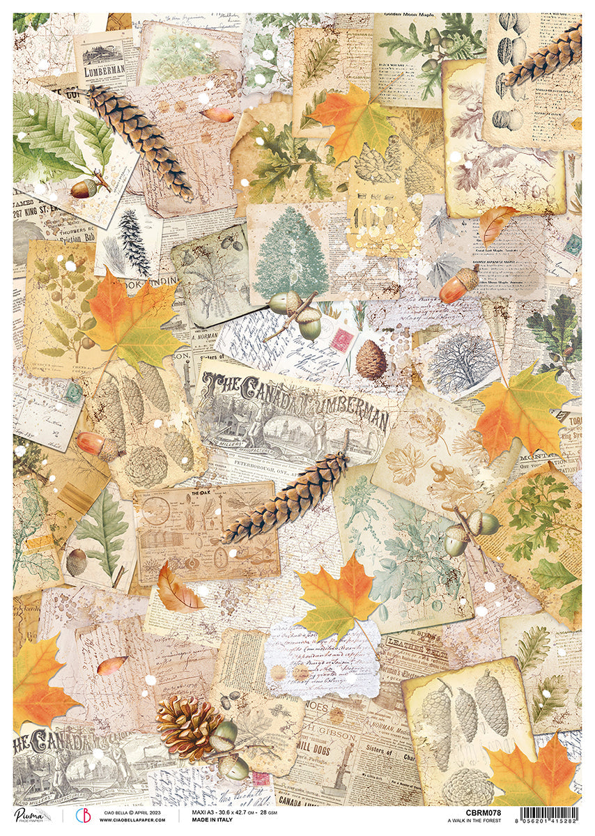 Ciao Bella Rice Paper A3 Piuma A Walk In The Forest - 3 Sheets