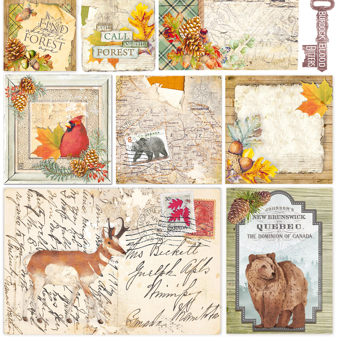 Ciao Bella Vellum Into The Wild Fussy Cut 6"x6" 6/Pkg