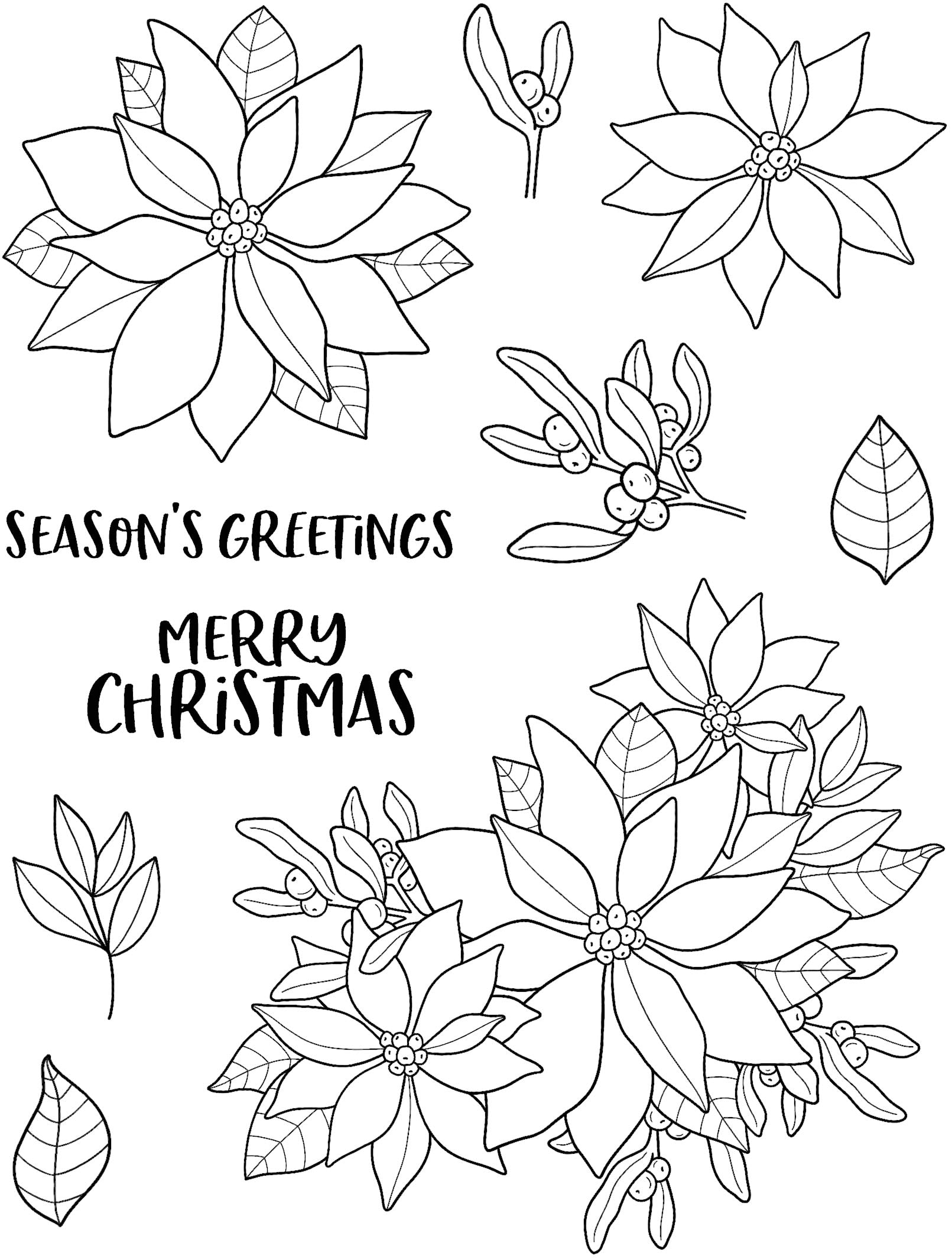 Creative Expressions Jane's Doodles Poinsettia 6 in x 8 in Clear Stamp Set