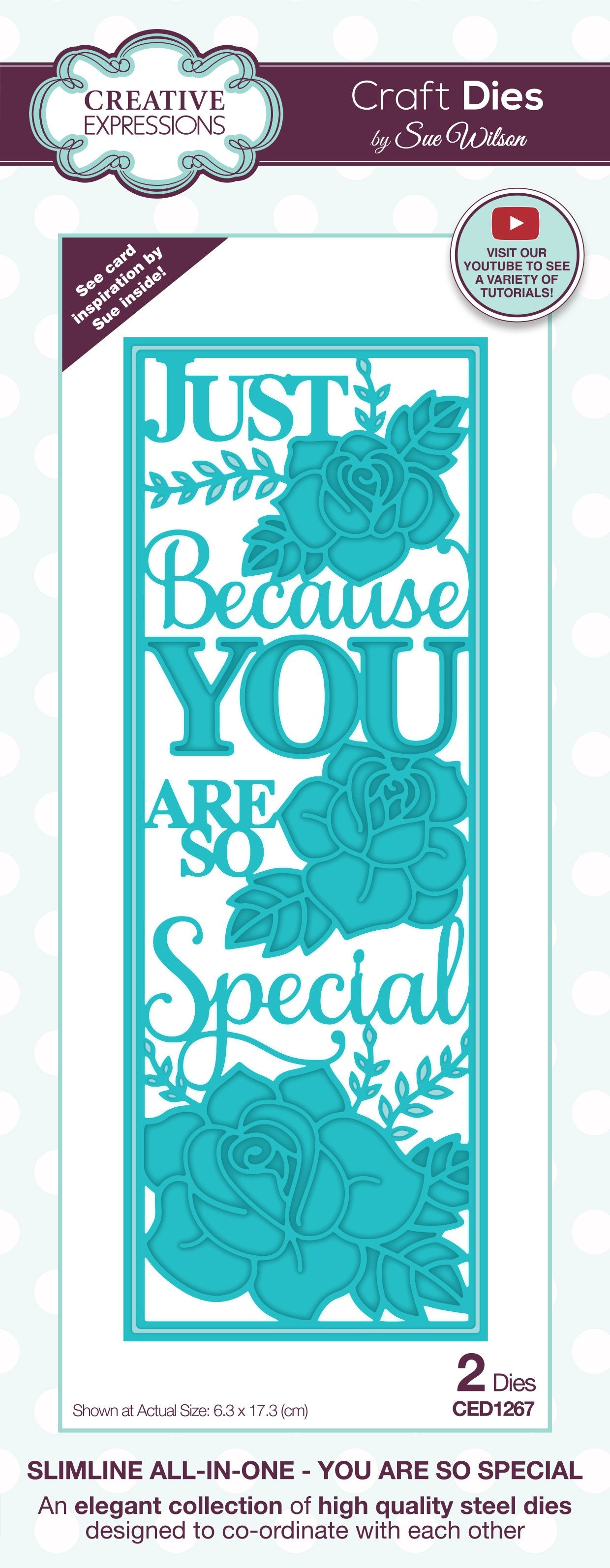 Creative Expressions Sue Wilson Slimline You Are So Special Craft Die