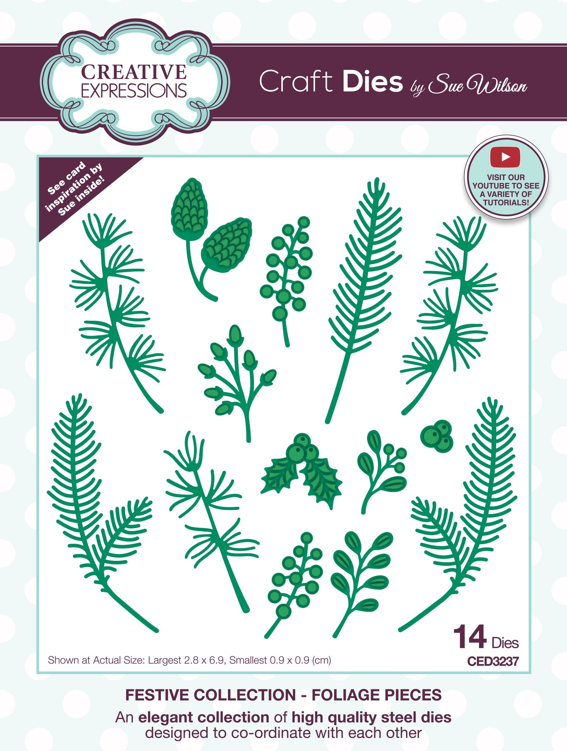 Creative Expressions Sue Wilson Festive Foliage Pieces Craft Die