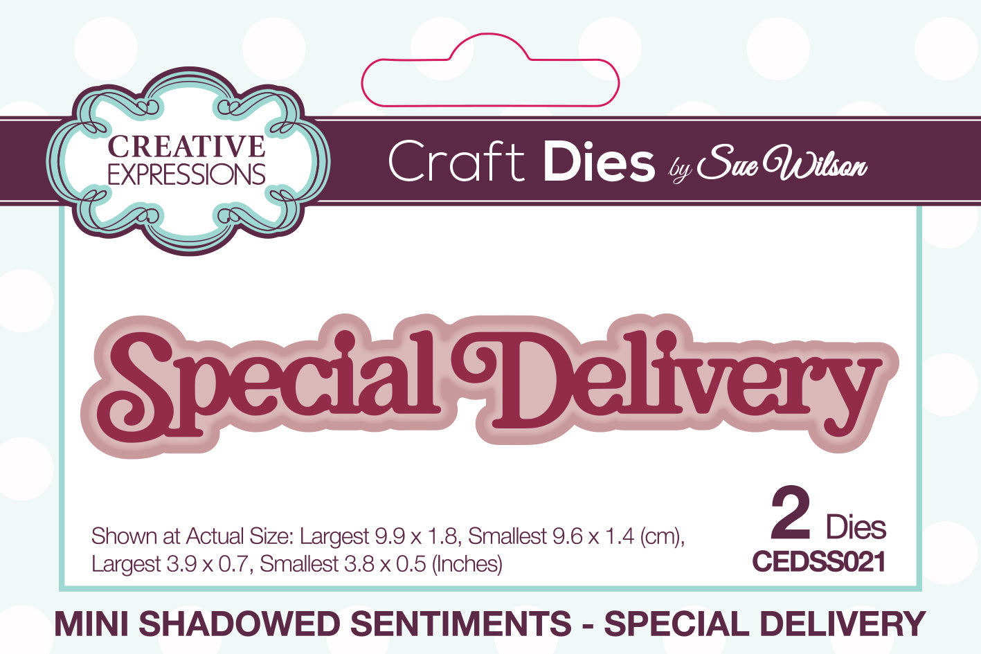 Creative Expressions Sue Wilson Mini Shadowed Sentiments Special Delivery Craft Die