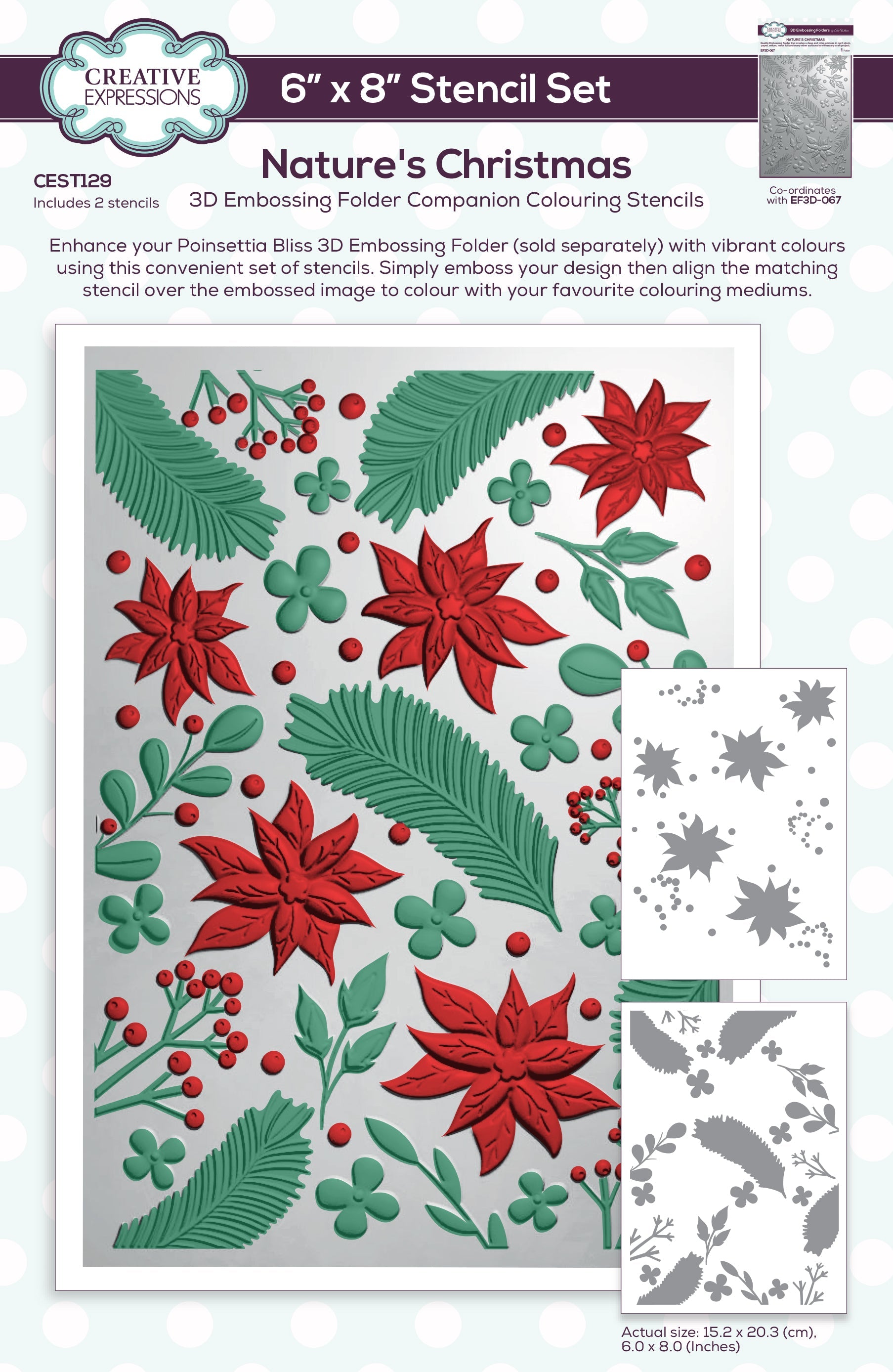 Creative Expressions Nature's Christmas Companion Colouring Stencil Set 6 in x 8 in 2pk