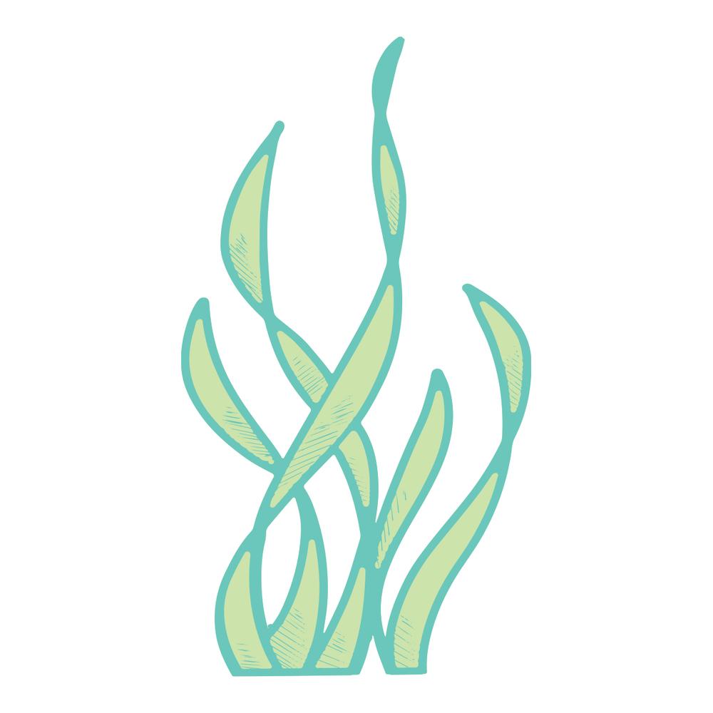 Couture Creations Seaside Girl Seaweed Mini Stamp and Die Set