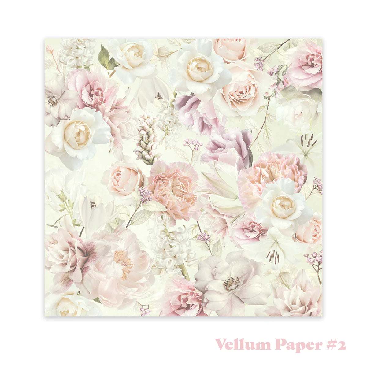 Vintage Tea Collection - 8in x 8in Vellum Paper