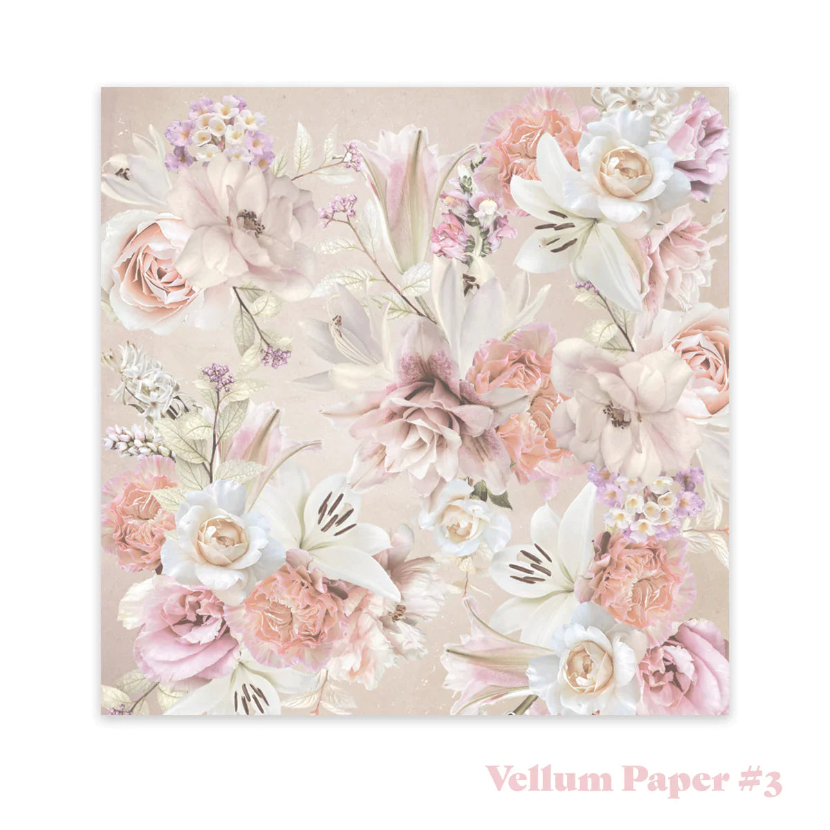 Vintage Tea Collection - 8in x 8in Vellum Paper