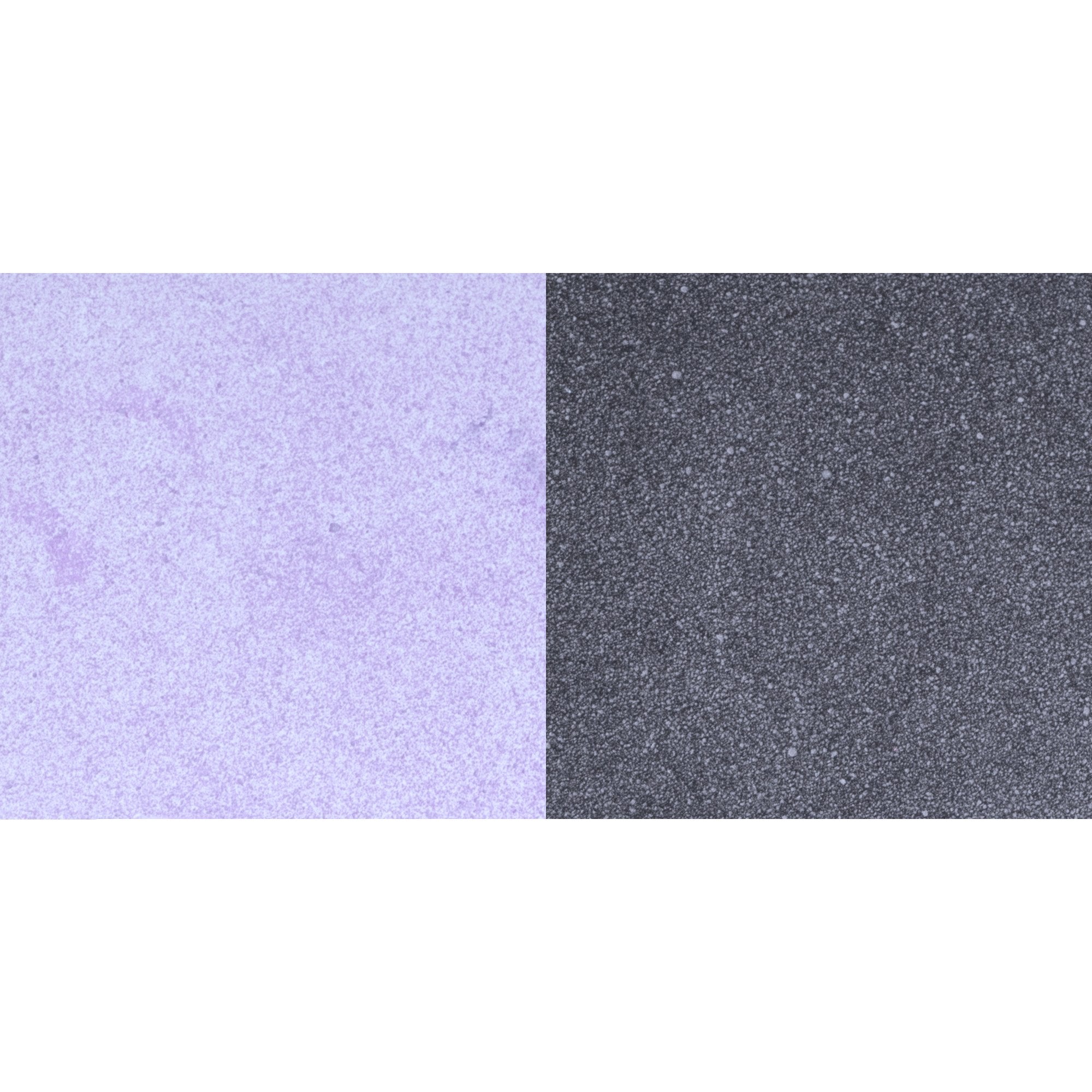 #colour_lavender rain