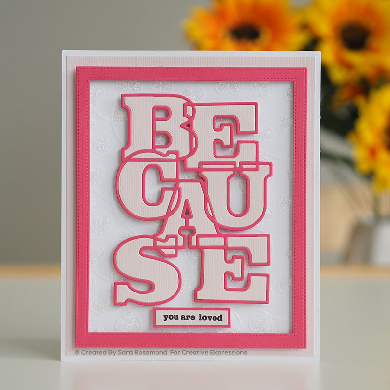 Sue Wilson Big Bold Words Because Craft Die & Stamp Set