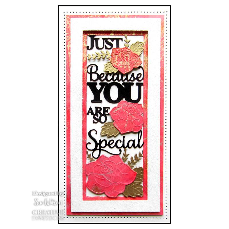 Creative Expressions Sue Wilson Slimline You Are So Special Craft Die