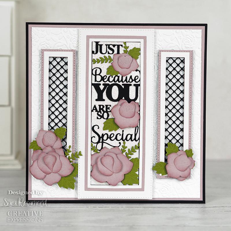 Creative Expressions Sue Wilson Slimline You Are So Special Craft Die