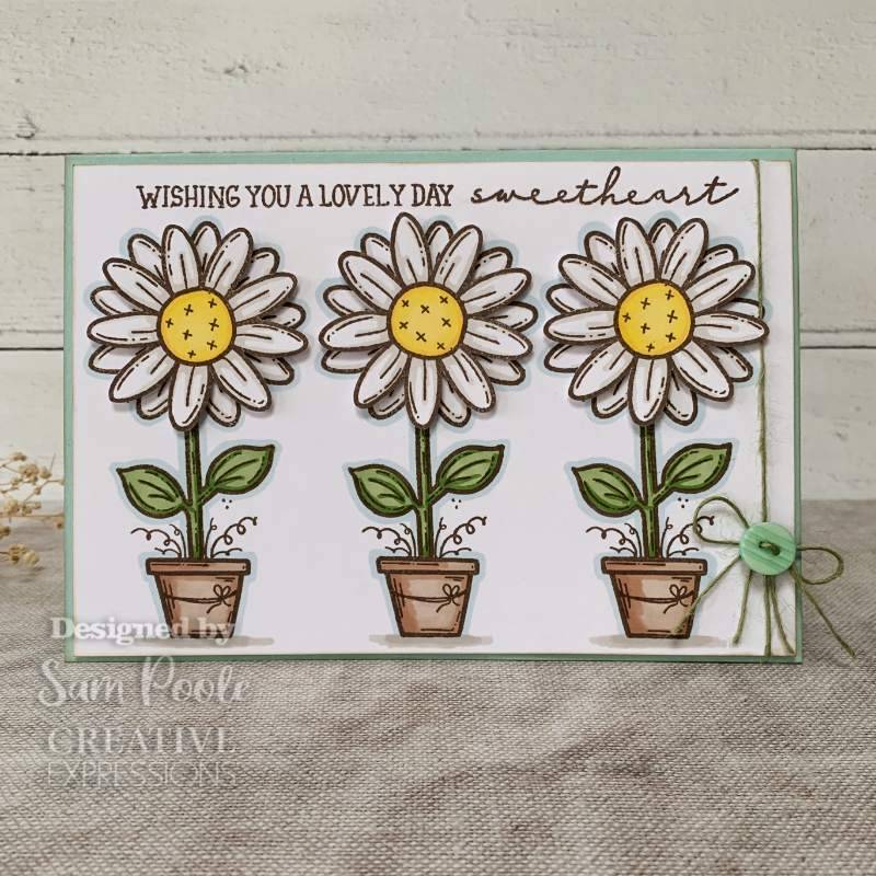 Creative Expressions Sam Poole Daisy Bloom 6 in x 4 in Clear Stamp Set