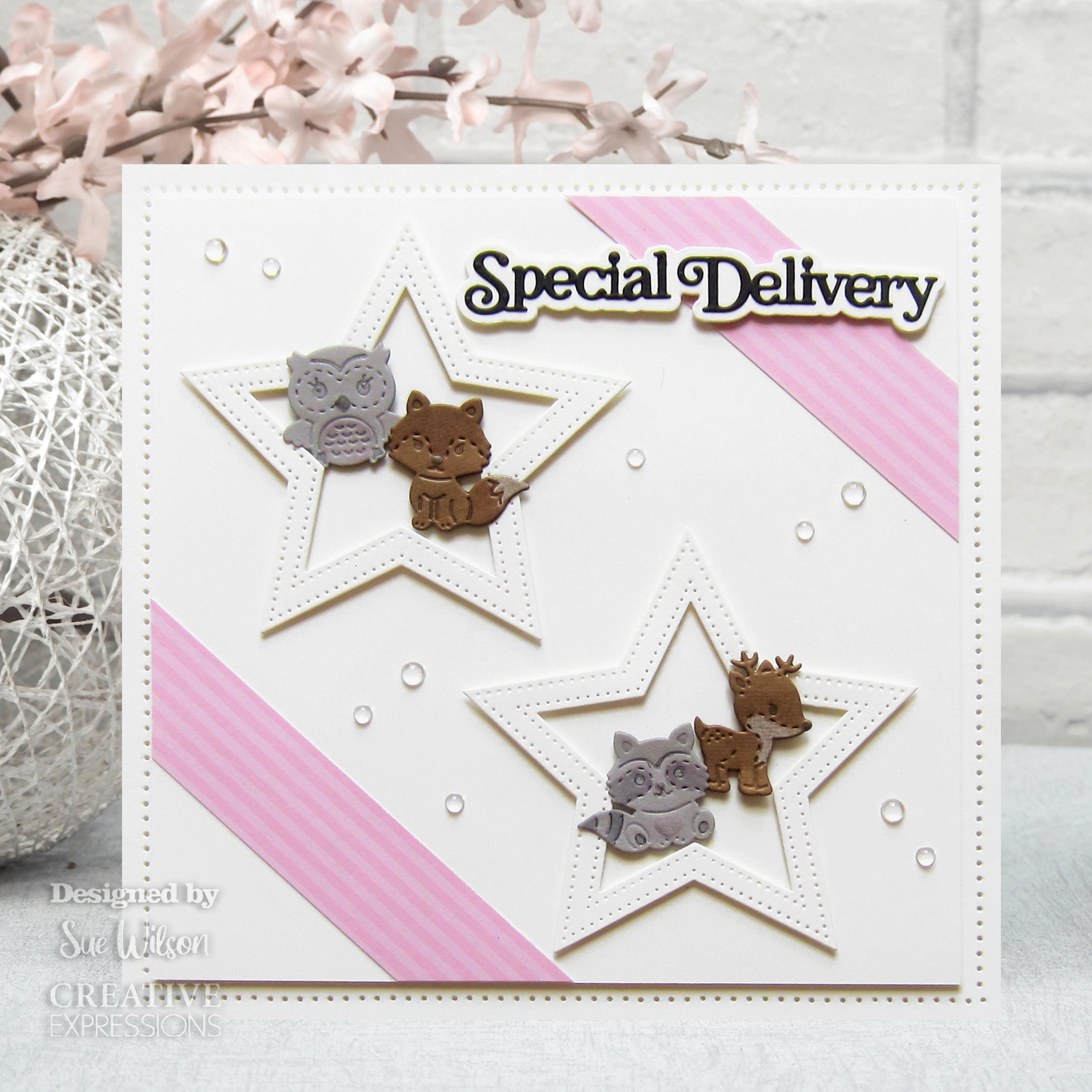 Creative Expressions Sue Wilson Mini Shadowed Sentiments Special Delivery Craft Die