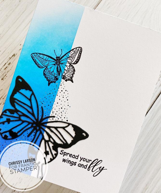 Frantic Stamper Clear Stamp Set - Butterfly