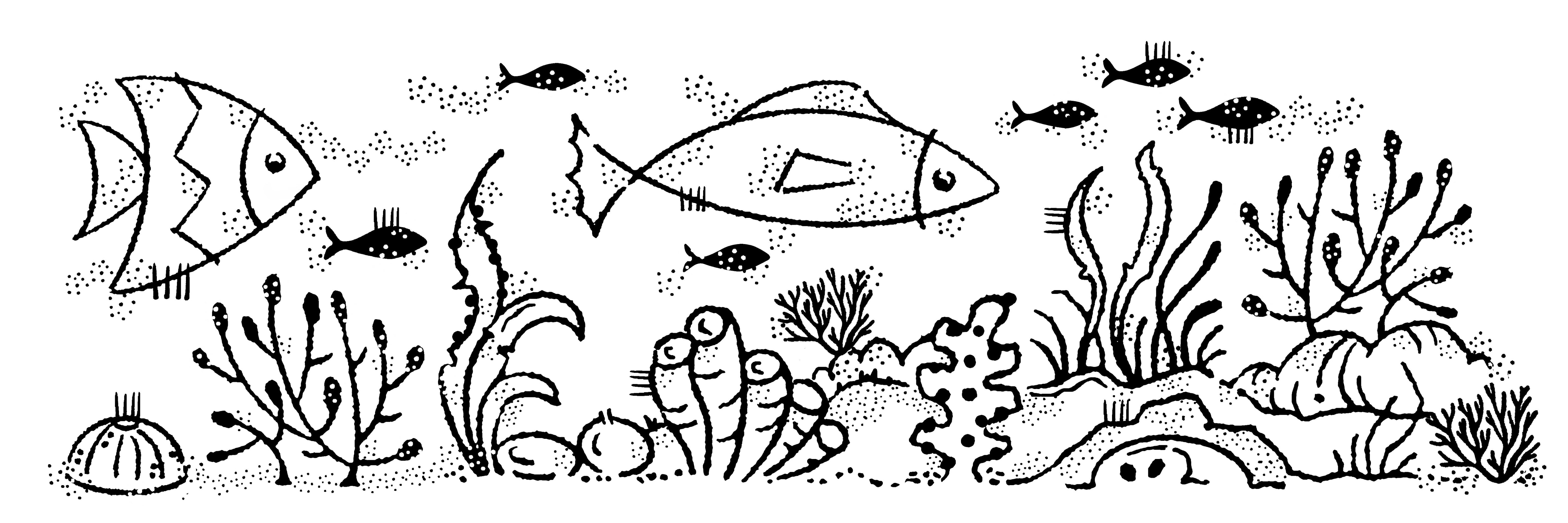 Woodware Clear Singles Coral Reef 8 in x 2.6 in Stamp