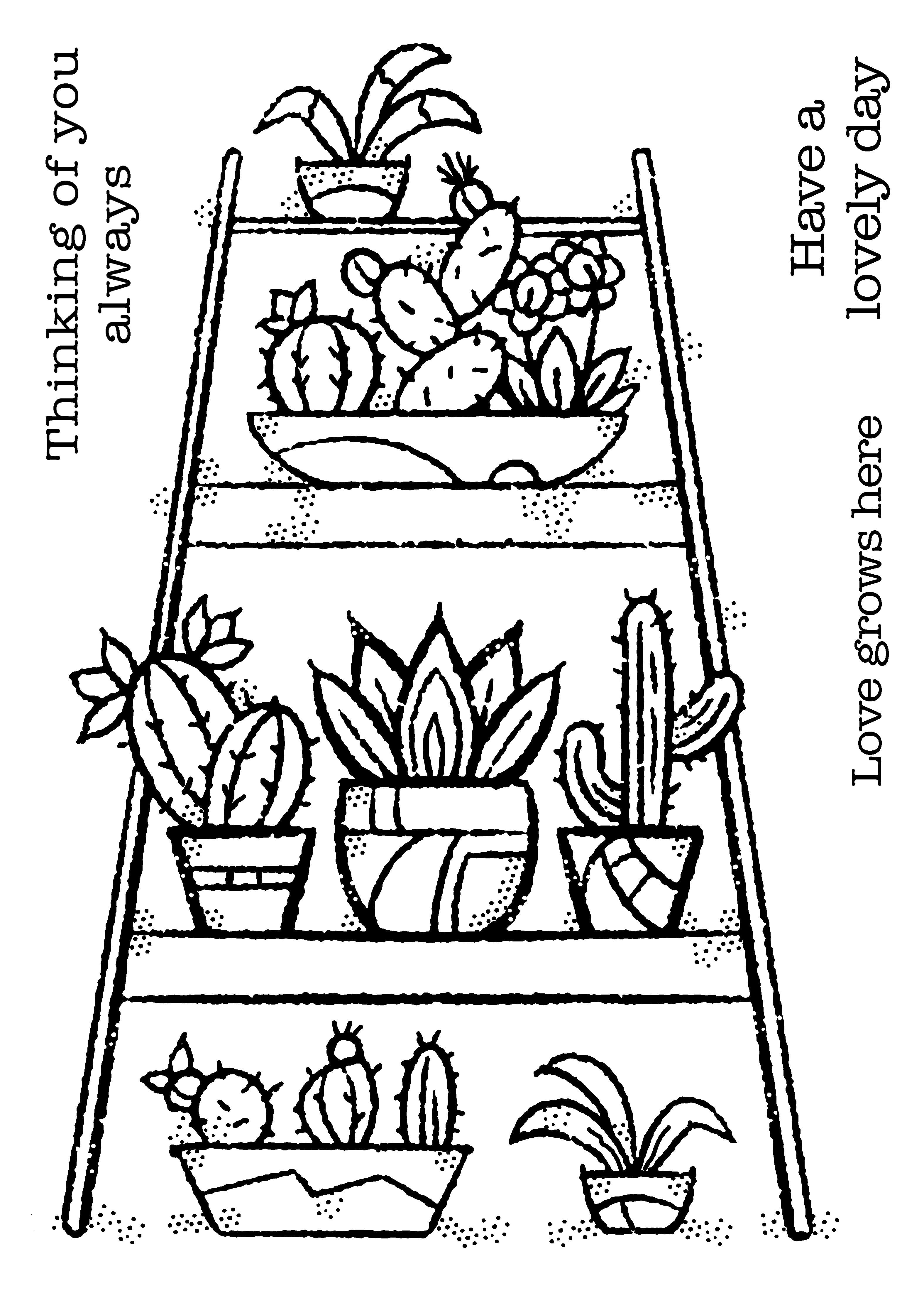 Woodware Clear Singles Indoor Garden 4 in x 6 in Stamp