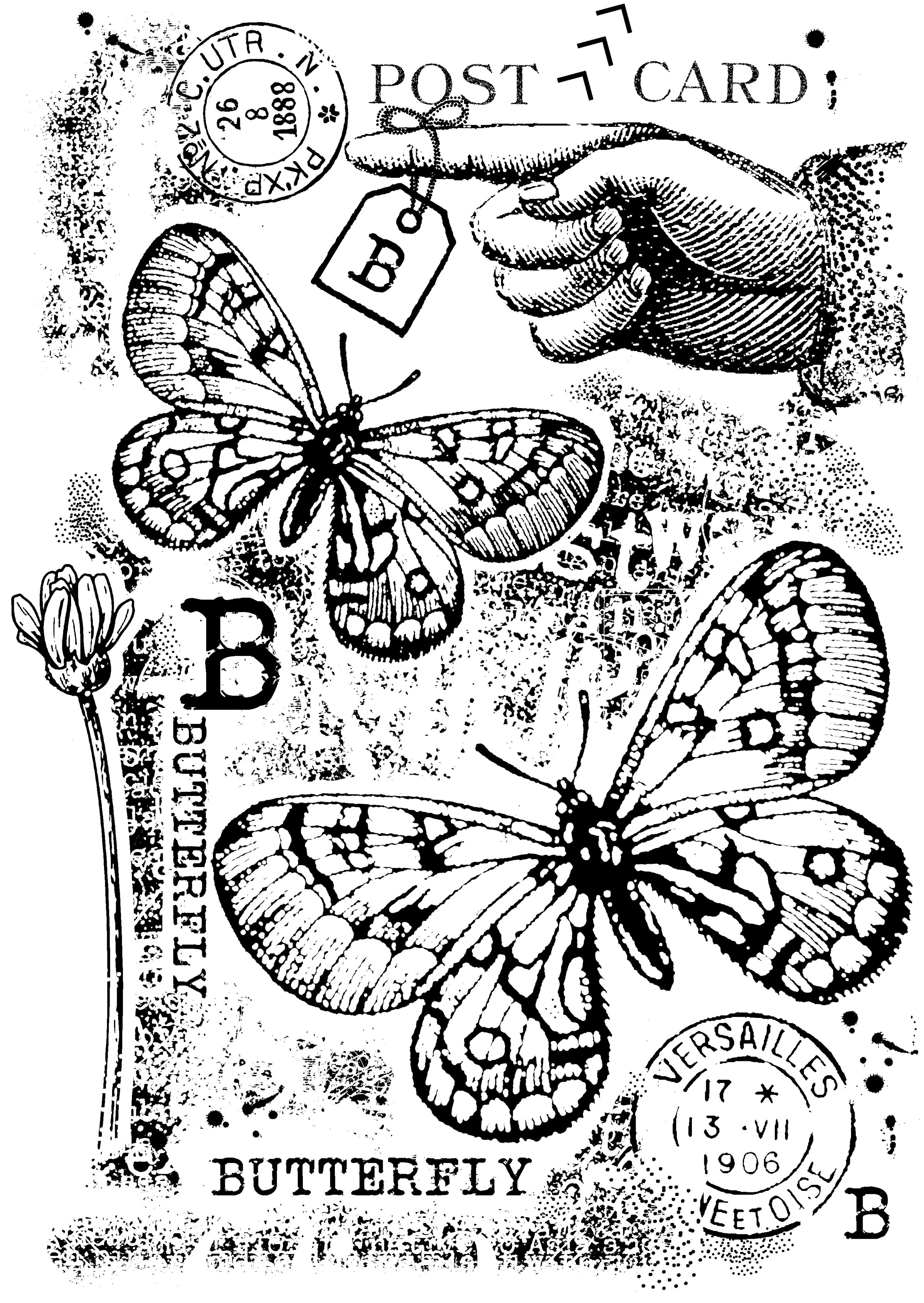 Woodware Clear Singles B is For Butterfly 4 in x 6 in Stamp