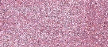 Glitter Ritz Micro Fine Glitter