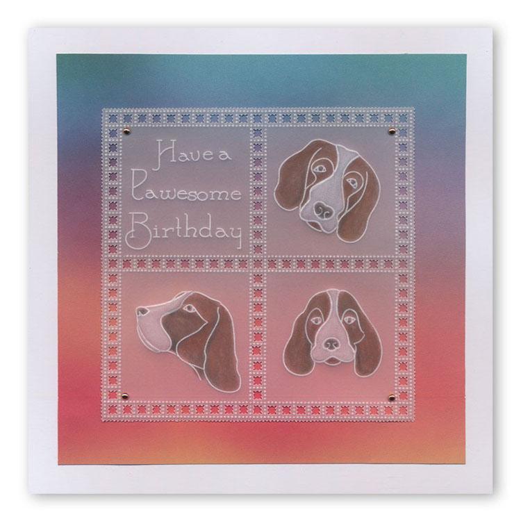 Groovi Template - Springer Spaniels