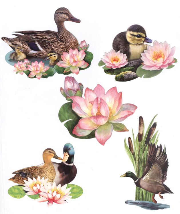 Easy 3D Toppers: Pond Animals & Flowers