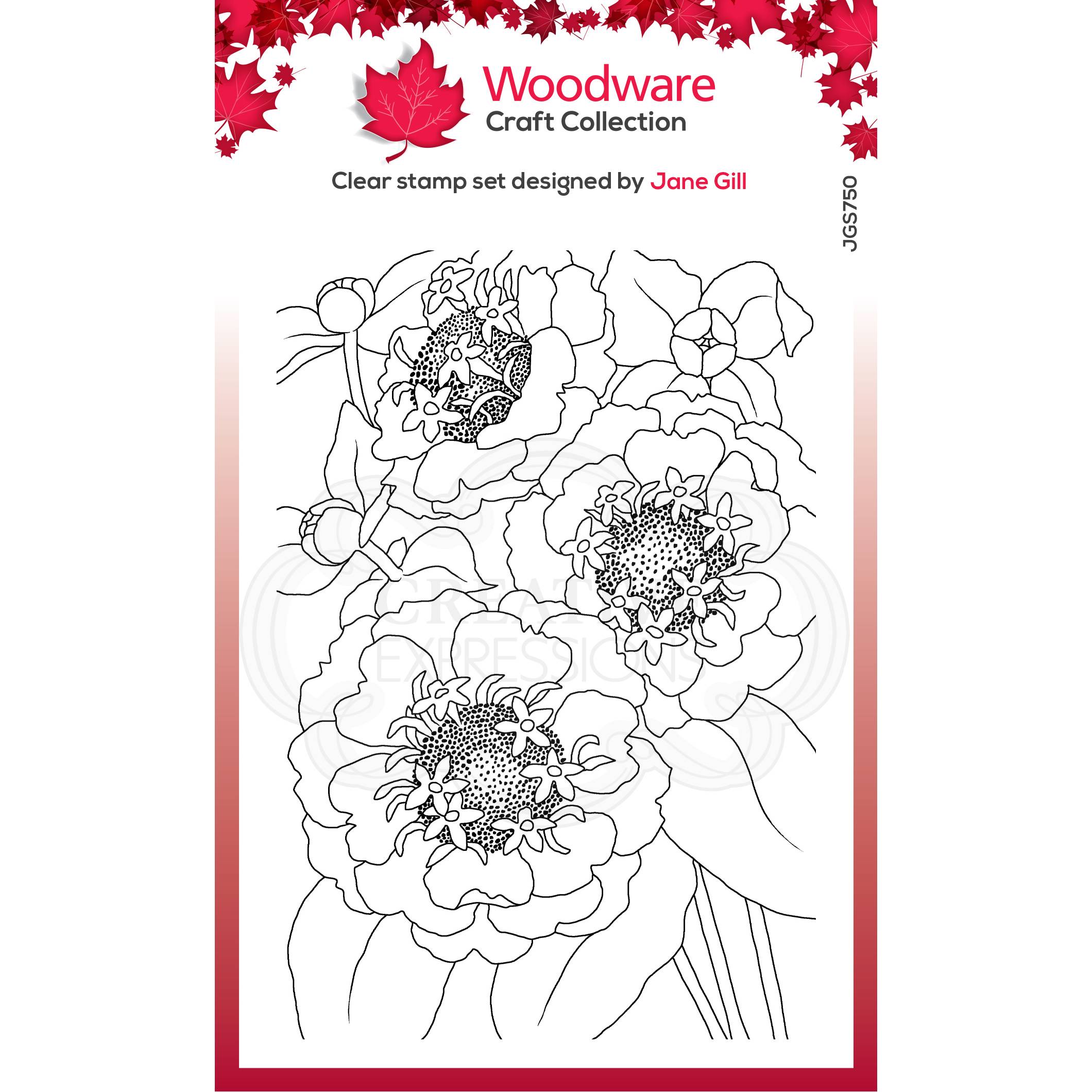 Woodware Clear Singles Zinnia 4 in x 6 in Stamp