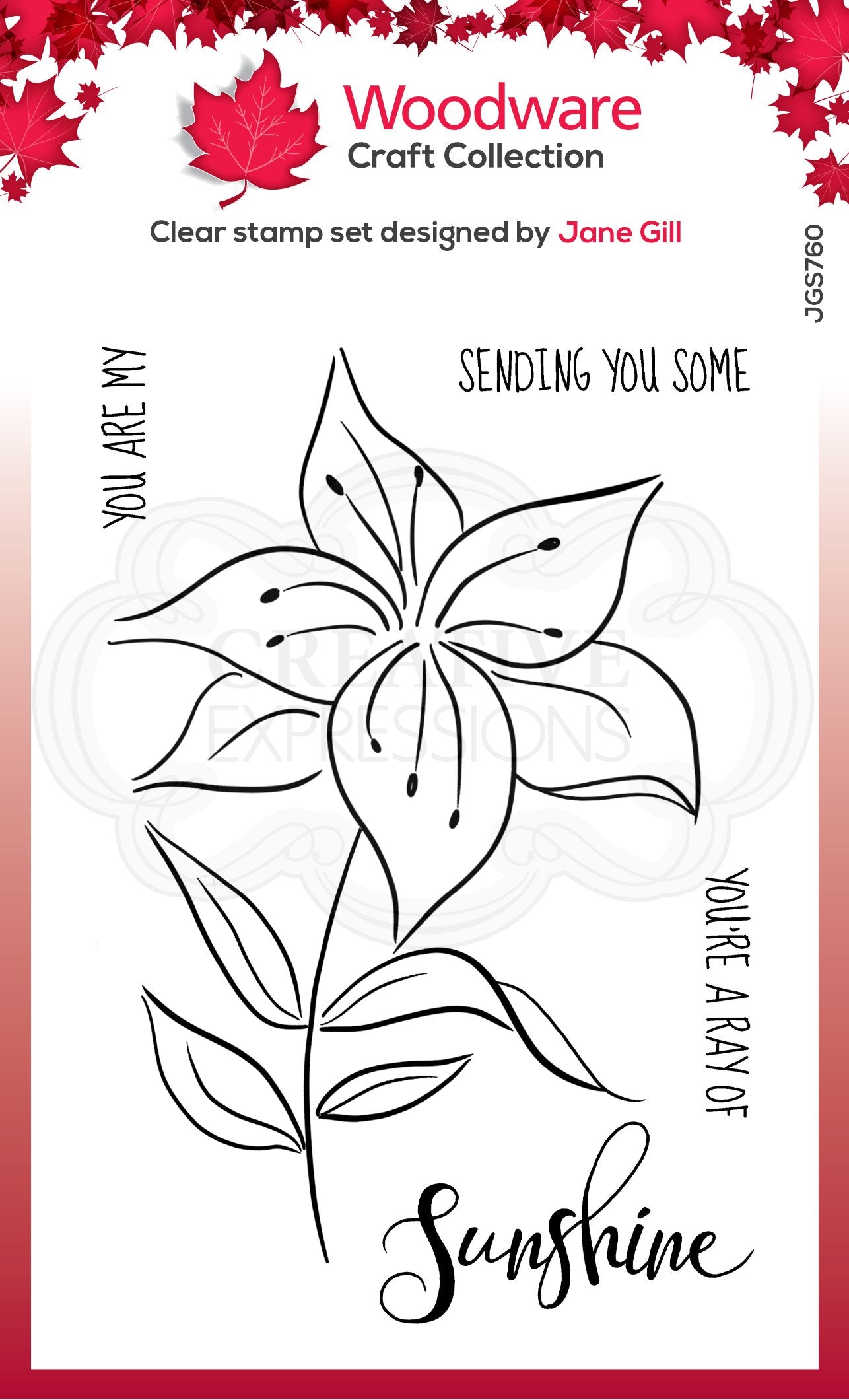 Woodware Clear Singles Lily Sketch 4 in x 6 in Stamp