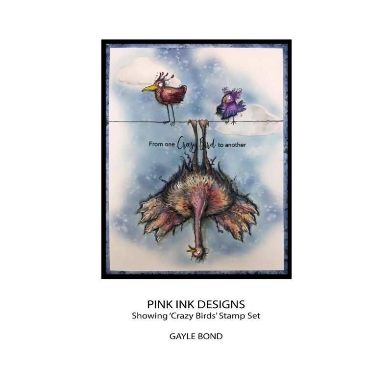 Pink Ink Designs Crazy Birds 6 in x 8 in Clear Stamp Set