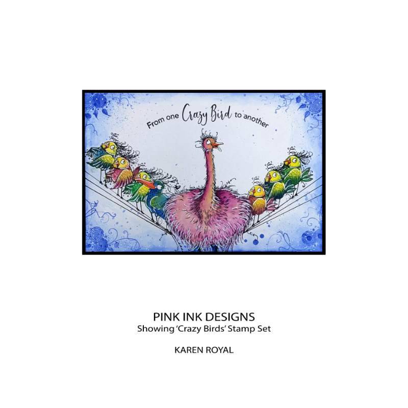 Pink Ink Designs Crazy Birds 6 in x 8 in Clear Stamp Set